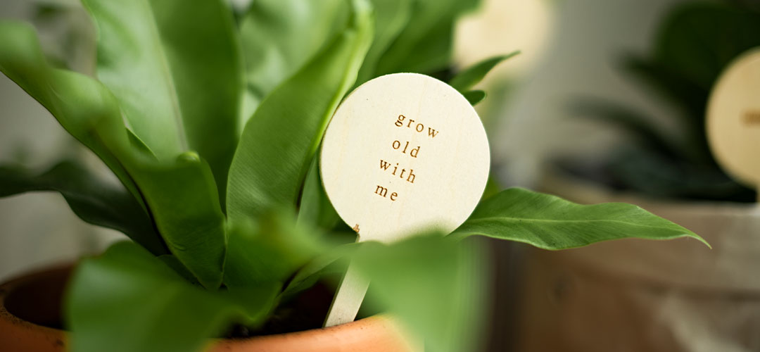 Beszúrható formák